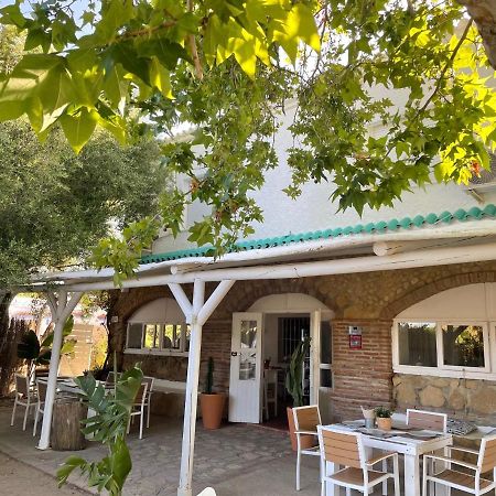 Alma Zahora Hotell Barbate Eksteriør bilde