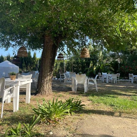 Alma Zahora Hotell Barbate Eksteriør bilde